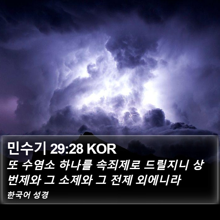 민수기 29:28 KOR Bible Study