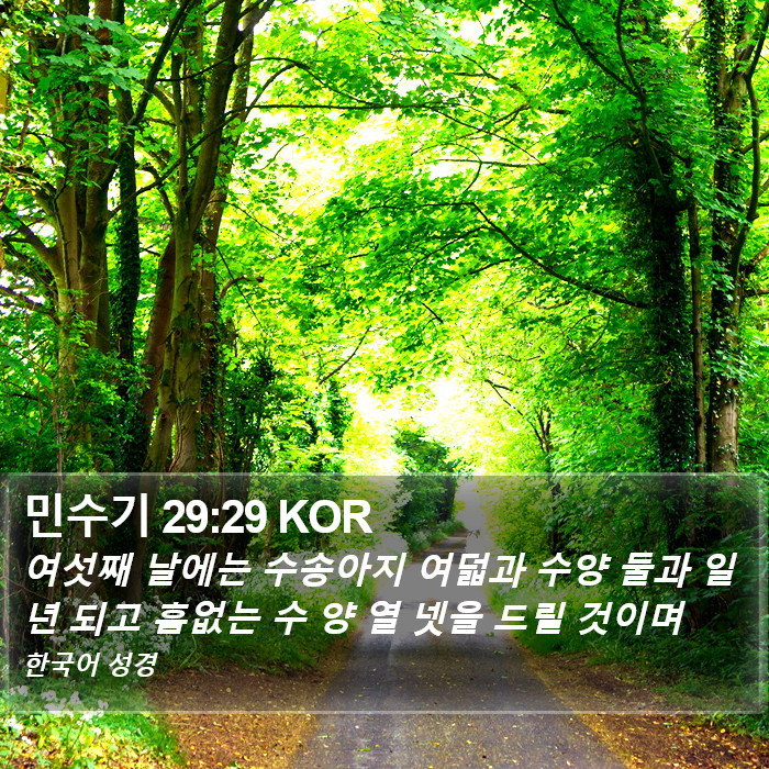 민수기 29:29 KOR Bible Study