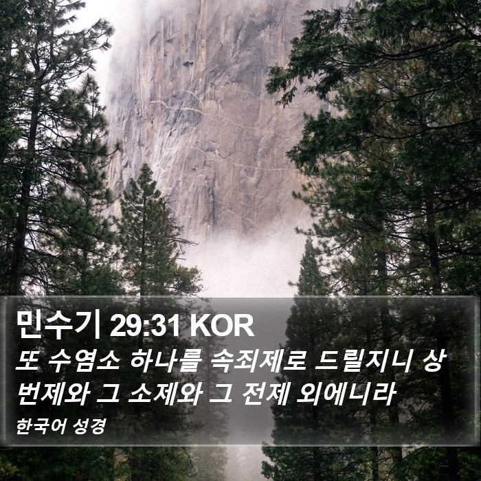 민수기 29:31 KOR Bible Study