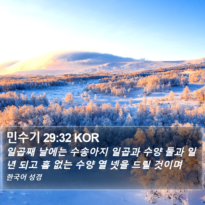 민수기 29:32 KOR Bible Study