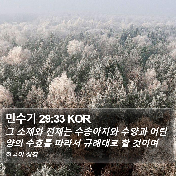 민수기 29:33 KOR Bible Study