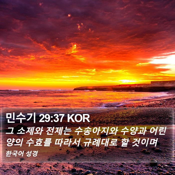 민수기 29:37 KOR Bible Study