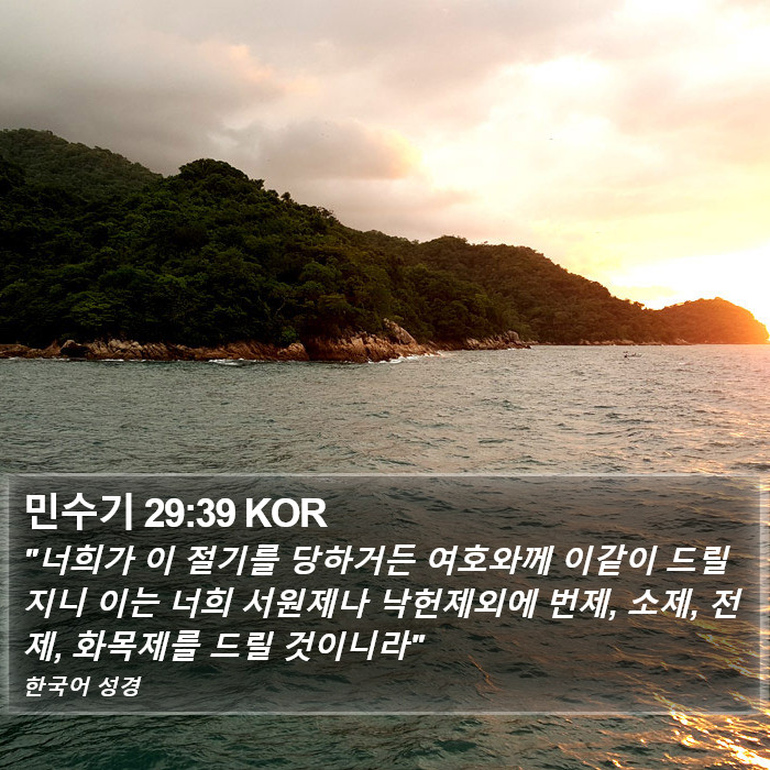 민수기 29:39 KOR Bible Study