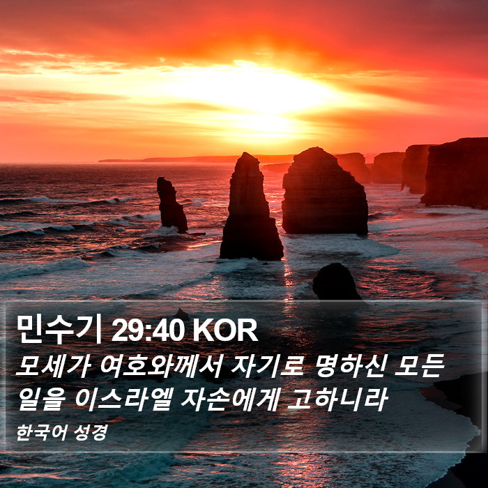 민수기 29:40 KOR Bible Study