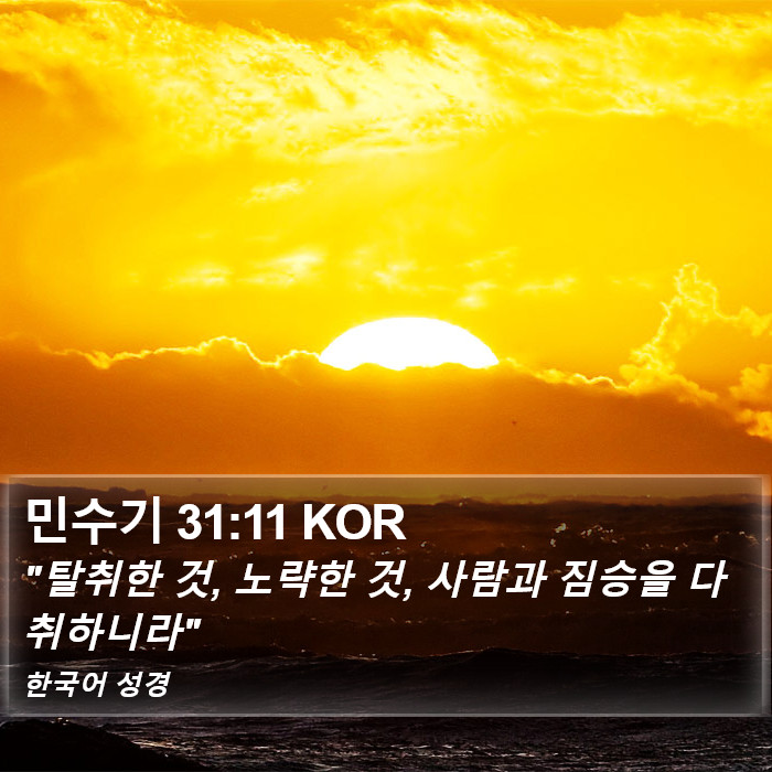 민수기 31:11 KOR Bible Study