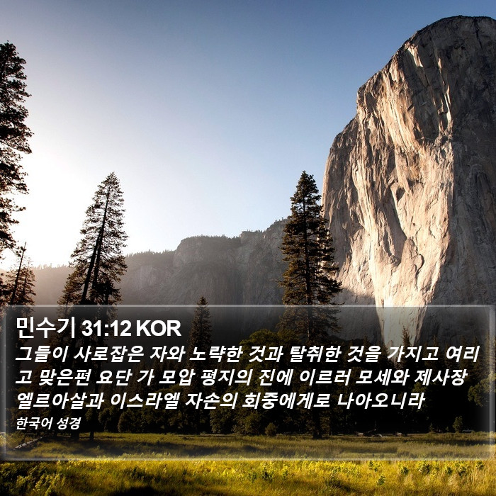 민수기 31:12 KOR Bible Study