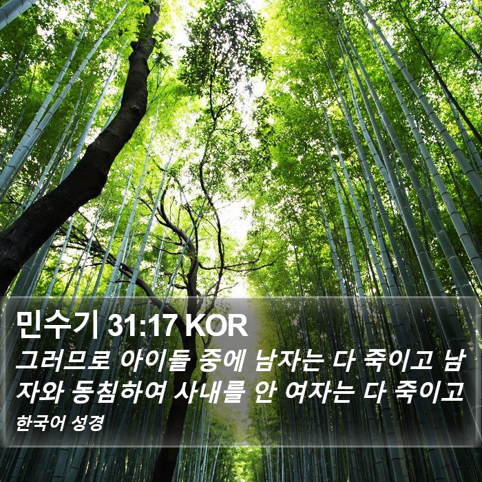 민수기 31:17 KOR Bible Study