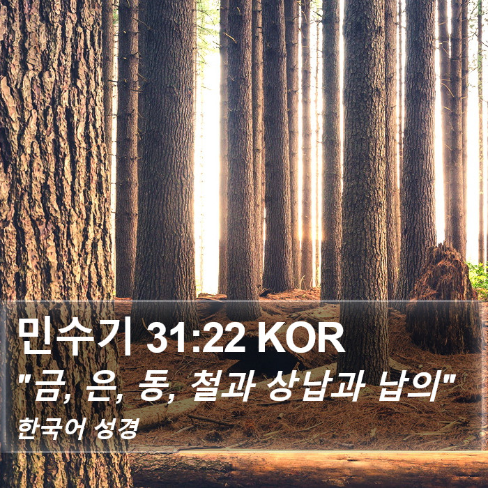 민수기 31:22 KOR Bible Study