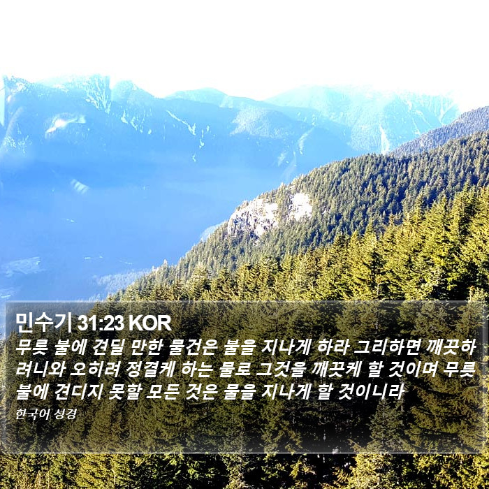 민수기 31:23 KOR Bible Study