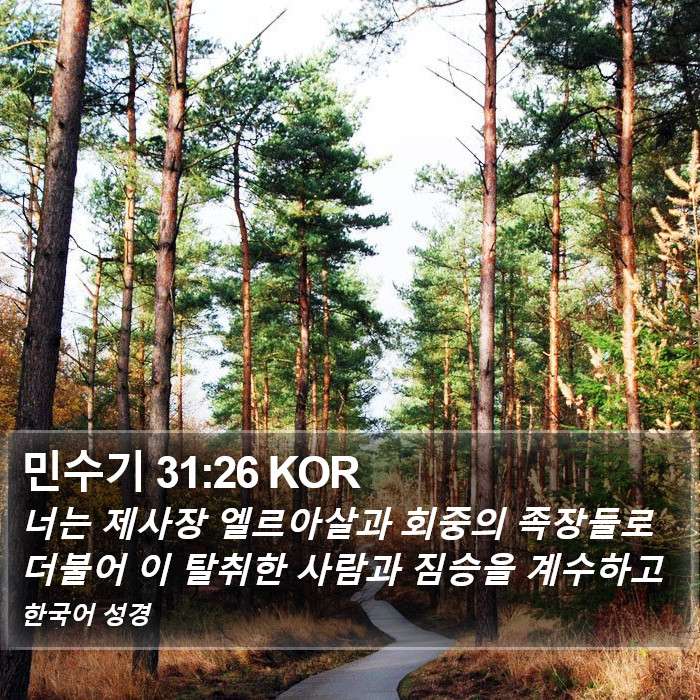 민수기 31:26 KOR Bible Study