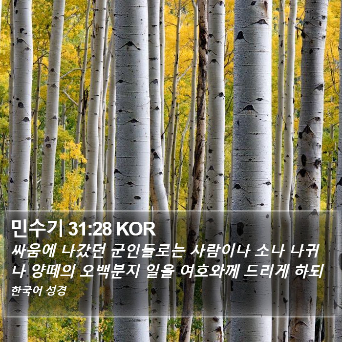 민수기 31:28 KOR Bible Study