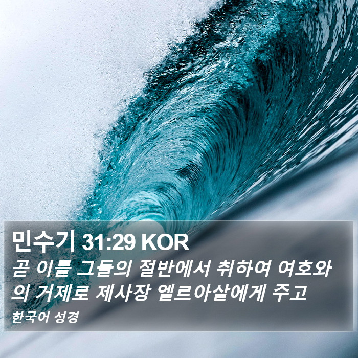 민수기 31:29 KOR Bible Study