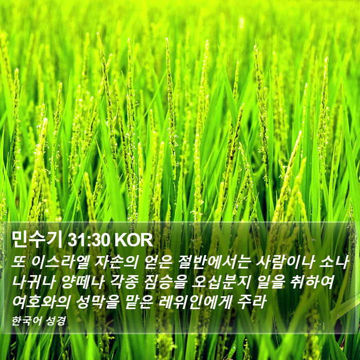 민수기 31:30 KOR Bible Study