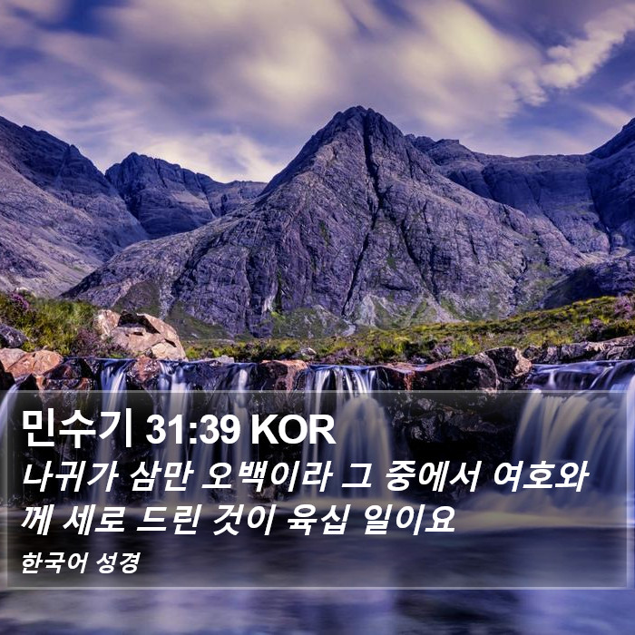 민수기 31:39 KOR Bible Study