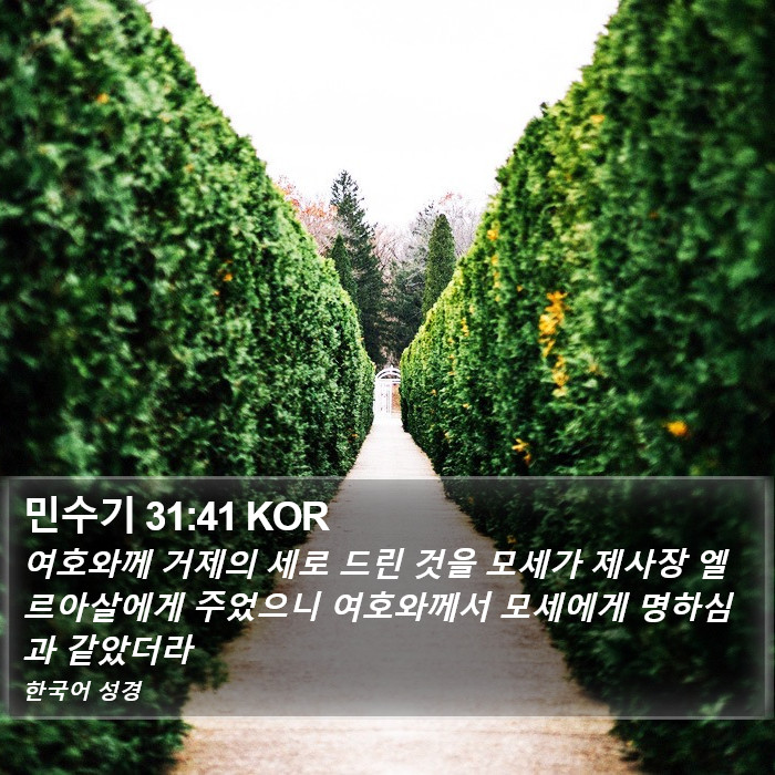 민수기 31:41 KOR Bible Study