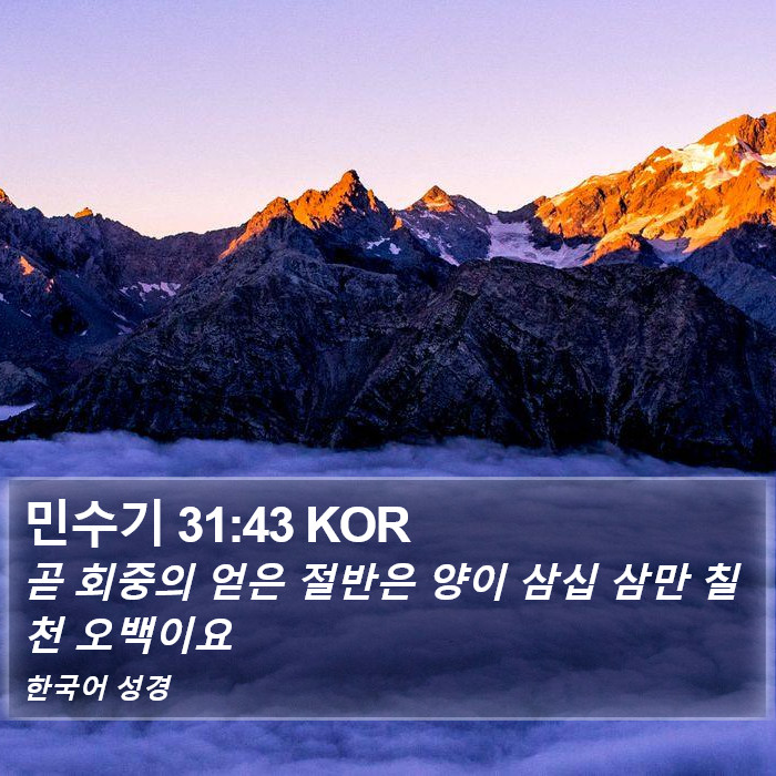 민수기 31:43 KOR Bible Study