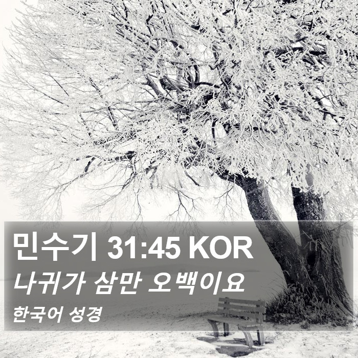 민수기 31:45 KOR Bible Study