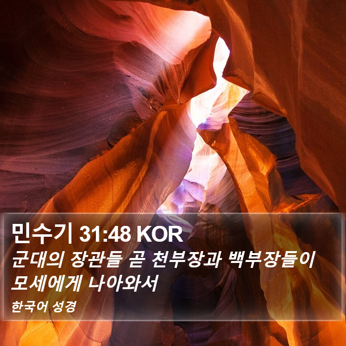 민수기 31:48 KOR Bible Study