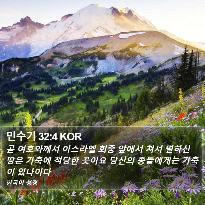 민수기 32:4 KOR Bible Study