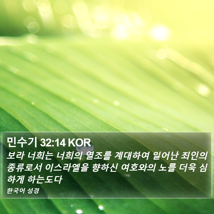 민수기 32:14 KOR Bible Study