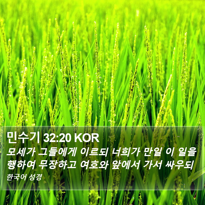 민수기 32:20 KOR Bible Study