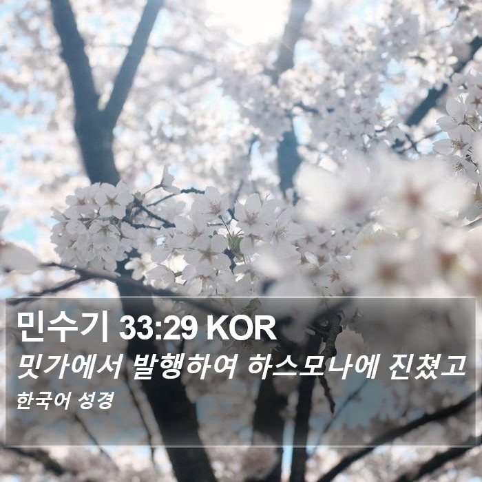 민수기 33:29 KOR Bible Study