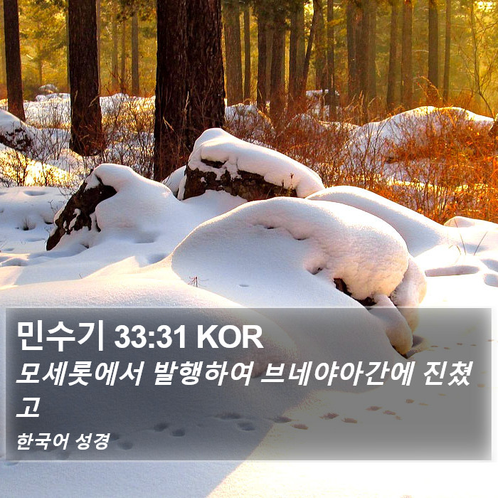 민수기 33:31 KOR Bible Study