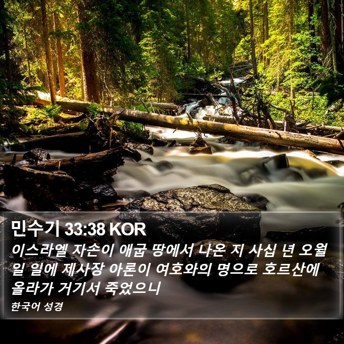 민수기 33:38 KOR Bible Study