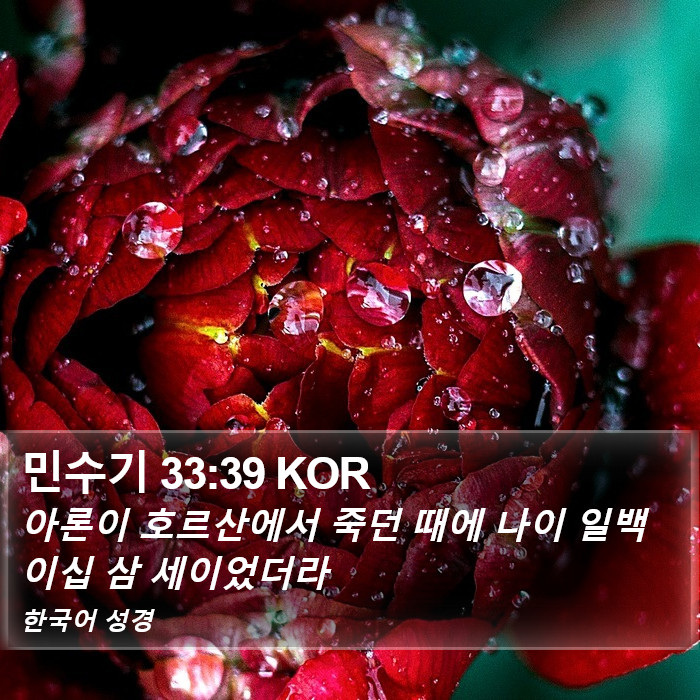 민수기 33:39 KOR Bible Study