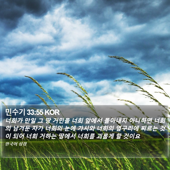 민수기 33:55 KOR Bible Study