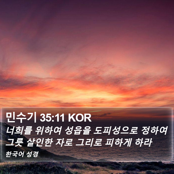 민수기 35:11 KOR Bible Study