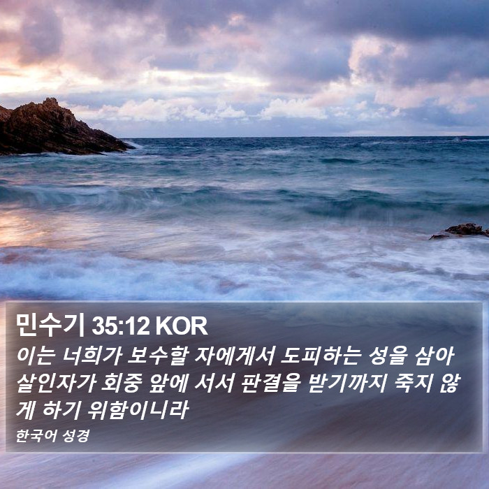 민수기 35:12 KOR Bible Study