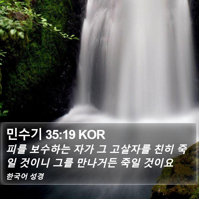 민수기 35:19 KOR Bible Study