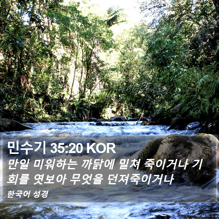 민수기 35:20 KOR Bible Study