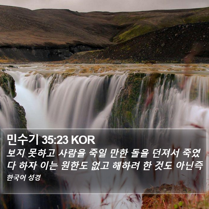 민수기 35:23 KOR Bible Study