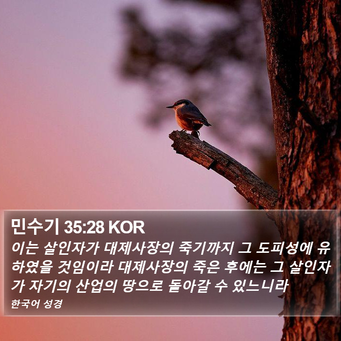 민수기 35:28 KOR Bible Study