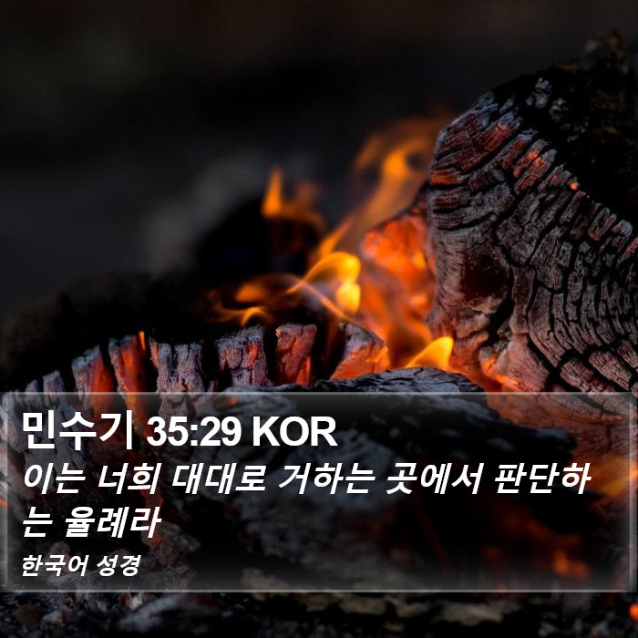 민수기 35:29 KOR Bible Study