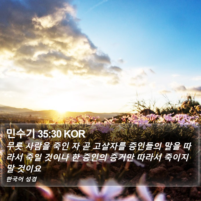 민수기 35:30 KOR Bible Study