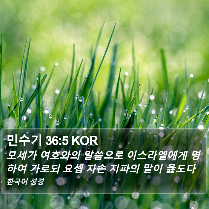 민수기 36:5 KOR Bible Study