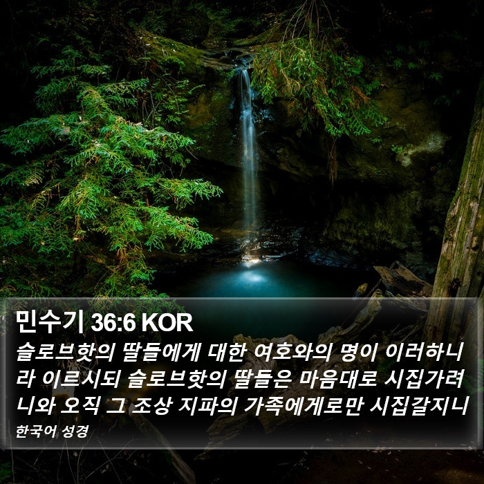 민수기 36:6 KOR Bible Study