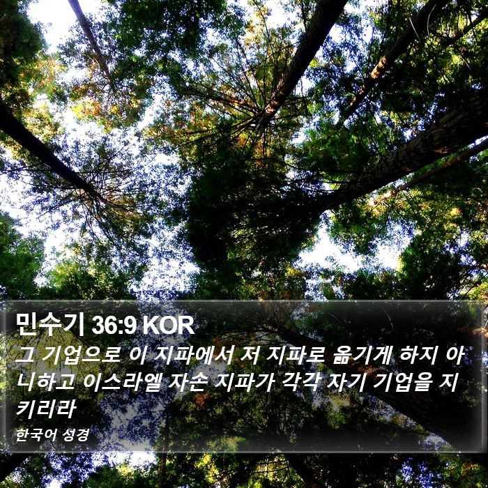 민수기 36:9 KOR Bible Study