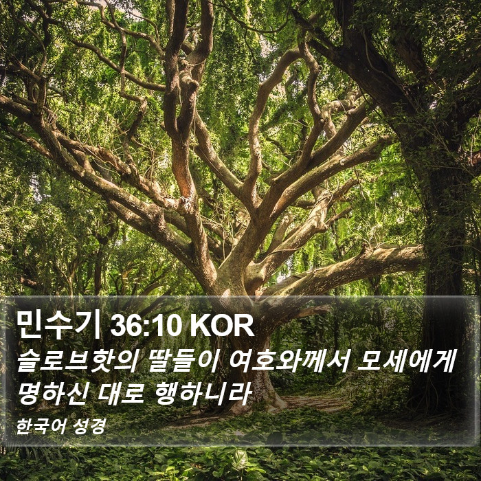 민수기 36:10 KOR Bible Study