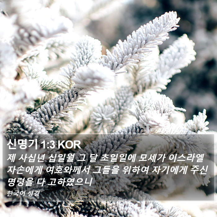 신명기 1:3 KOR Bible Study