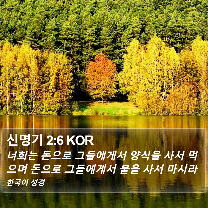 신명기 2:6 KOR Bible Study