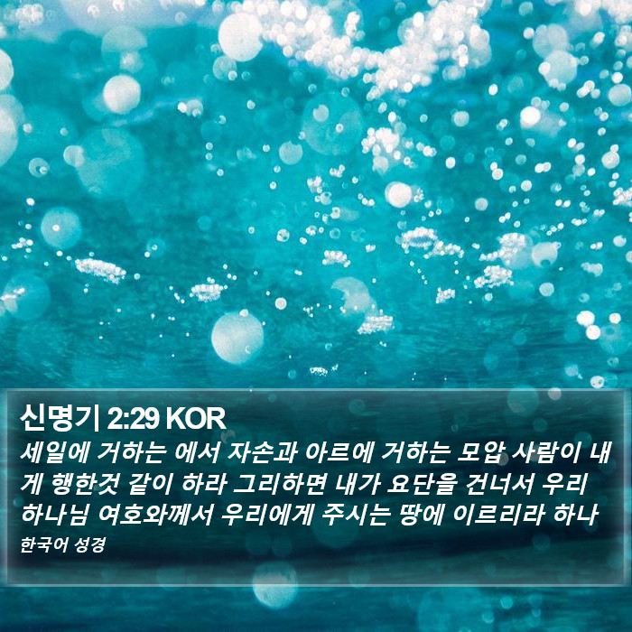 신명기 2:29 KOR Bible Study