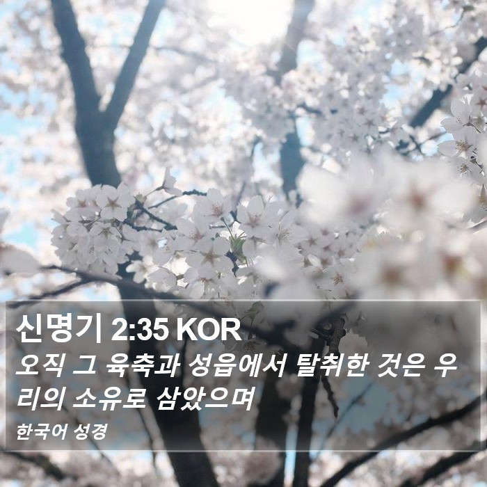 신명기 2:35 KOR Bible Study