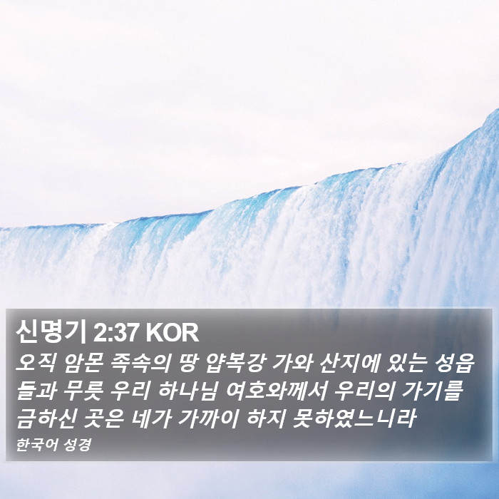 신명기 2:37 KOR Bible Study