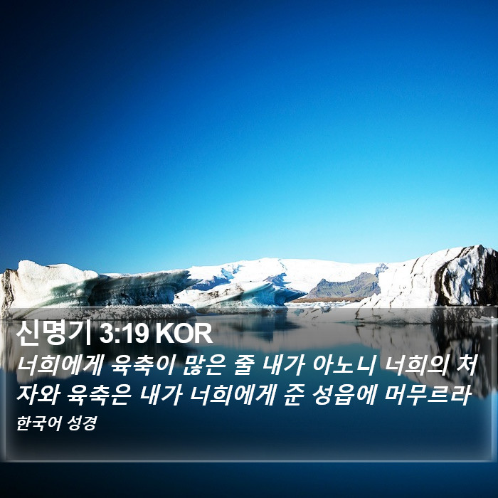 신명기 3:19 KOR Bible Study