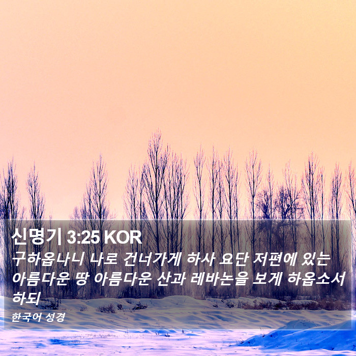 신명기 3:25 KOR Bible Study