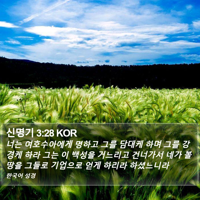 신명기 3:28 KOR Bible Study